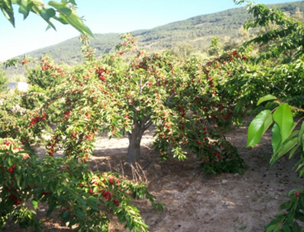 Las Calabazas Barrado Camera foto
